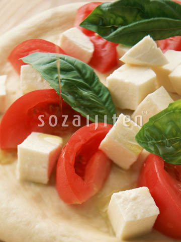 �f�ގ��TVol.132�q�p�X�^��s�U��T���_�ҁr