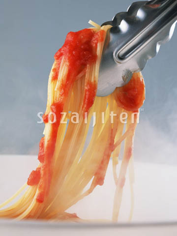 �f�ގ��TVol.132�q�p�X�^��s�U��T���_�ҁr