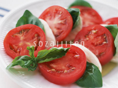 �f�ގ��TVol.132�q�p�X�^��s�U��T���_�ҁr