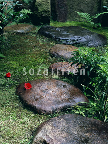 �f�ގ��TVol.133�q�a�E���̕���ҁr