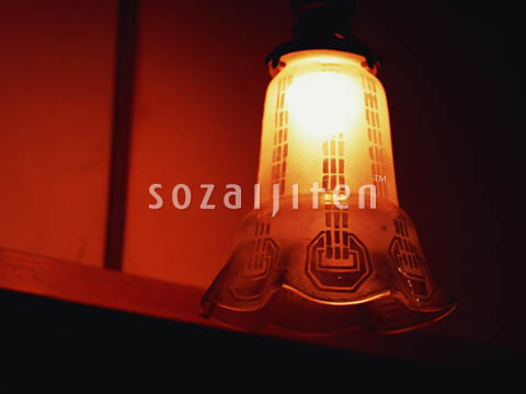 �f�ގ��TVol.133�q�a�E���̕���ҁr