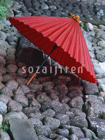 �f�ގ��TVol.133�q�a�E���̕���ҁr