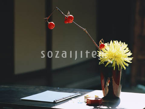 �f�ގ��TVol.133�q�a�E���̕���ҁr