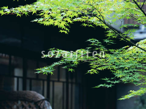 �f�ގ��TVol.133�q�a�E���̕���ҁr