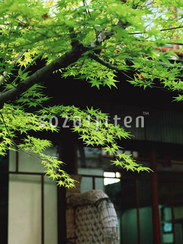 �f�ގ��TVol.133�q�a�E���̕���ҁr