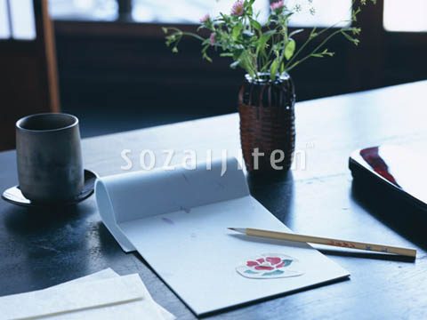 �f�ގ��TVol.133�q�a�E���̕���ҁr