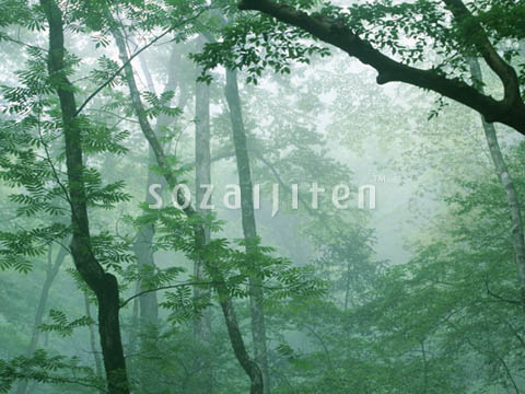 �f�ގ��TVol.134�q�X�ѥ�؉k����ҁr