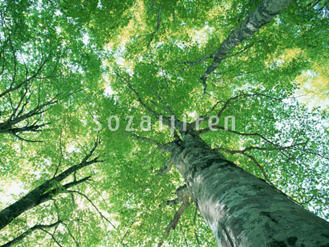 �f�ގ��TVol.134�q�X�ѥ�؉k����ҁr