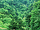 �f�ގ��TVol.134�q�X�ѥ�؉k����ҁr�摜192