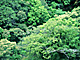 �f�ގ��TVol.134�q�X�ѥ�؉k����ҁr�摜193