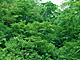 �f�ގ��TVol.134�q�X�ѥ�؉k����ҁr�摜195