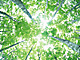 �f�ގ��TVol.134�q�X�ѥ�؉k����ҁr�摜040