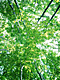 �f�ގ��TVol.134�q�X�ѥ�؉k����ҁr�摜043