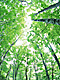 �f�ގ��TVol.134�q�X�ѥ�؉k����ҁr�摜044