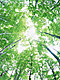 �f�ގ��TVol.134�q�X�ѥ�؉k����ҁr�摜045