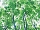 �f�ގ��TVol.134�q�X�ѥ�؉k����ҁr�摜055