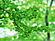 �f�ގ��TVol.134�q�X�ѥ�؉k����ҁr�摜071