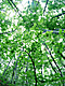 �f�ގ��TVol.134�q�X�ѥ�؉k����ҁr�摜083