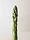 �f�ގ��TVol.135�q���-���z�̌b�ݕҁr�摜126