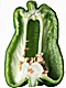 �f�ގ��TVol.135�q���-���z�̌b�ݕҁr�摜141