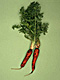 �f�ގ��TVol.135�q���-���z�̌b�ݕҁr�摜165