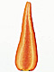 �f�ގ��TVol.135�q���-���z�̌b�ݕҁr�摜171