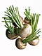 �f�ގ��TVol.135�q���-���z�̌b�ݕҁr�摜176