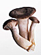 �f�ގ��TVol.135�q���-���z�̌b�ݕҁr�摜192