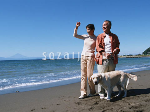 �f�ގ��TVol.137�q�V�j�A-�u�₩�ȋx���ҁr