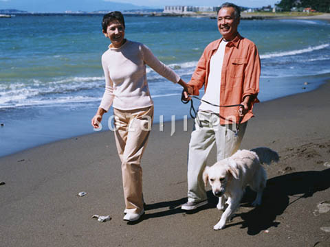 �f�ގ��TVol.137�q�V�j�A-�u�₩�ȋx���ҁr