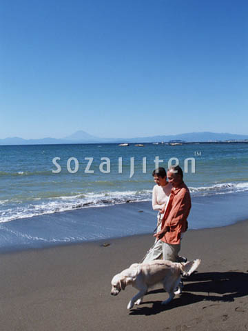 �f�ގ��TVol.137�q�V�j�A-�u�₩�ȋx���ҁr
