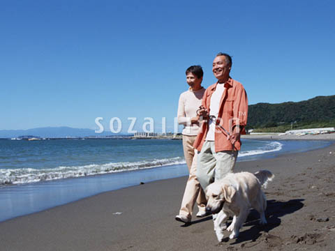 �f�ގ��TVol.137�q�V�j�A-�u�₩�ȋx���ҁr