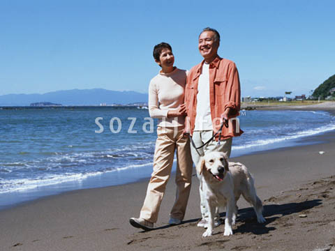 �f�ގ��TVol.137�q�V�j�A-�u�₩�ȋx���ҁr