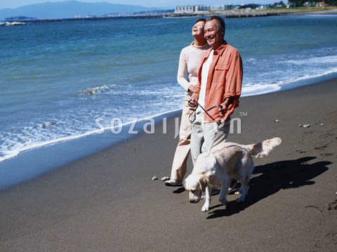 �f�ގ��TVol.137�q�V�j�A-�u�₩�ȋx���ҁr