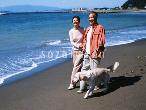 �f�ގ��TVol.137�q�V�j�A-�u�₩�ȋx���ҁr