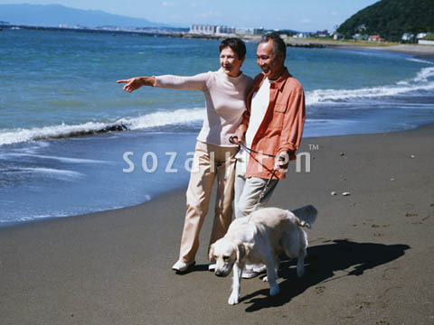 �f�ގ��TVol.137�q�V�j�A-�u�₩�ȋx���ҁr