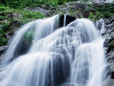 �f�ގ��TVol.139�q��-�����ƗN���ҁr