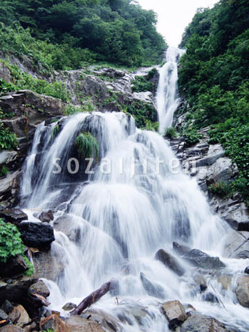 �f�ގ��TVol.139�q��-�����ƗN���ҁr