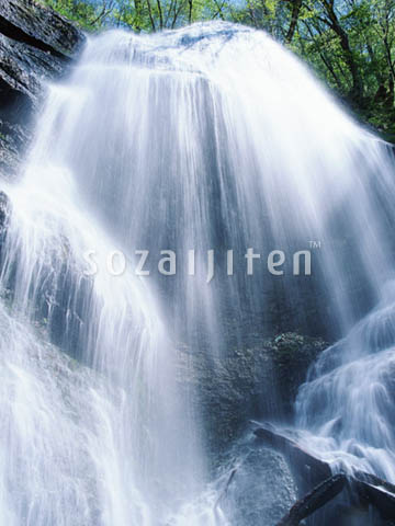 �f�ގ��TVol.139�q��-�����ƗN���ҁr