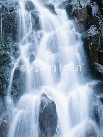�f�ގ��TVol.139�q��-�����ƗN���ҁr