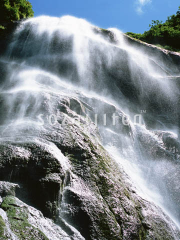 �f�ގ��TVol.139�q��-�����ƗN���ҁr