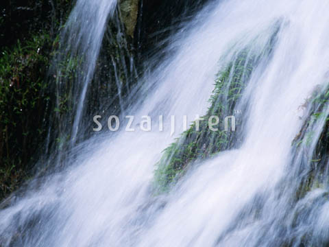�f�ގ��TVol.139�q��-�����ƗN���ҁr