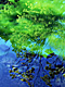 �f�ގ��TVol.139�q��-�����ƗN���ҁr�摜144