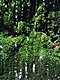 �f�ގ��TVol.139�q��-�����ƗN���ҁr�摜058