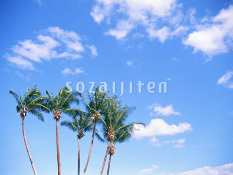 �f�ގ��TVol.140�q�n���C-�A���n�ҁr