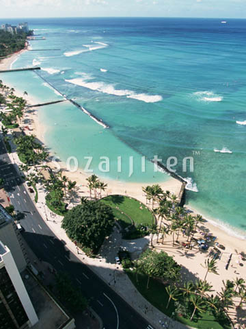 �f�ގ��TVol.140�q�n���C-�A���n�ҁr