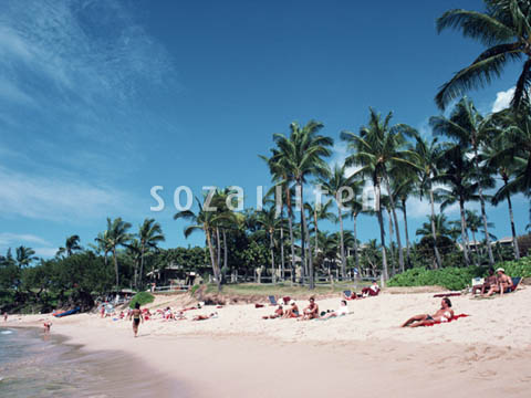 �f�ގ��TVol.140�q�n���C-�A���n�ҁr