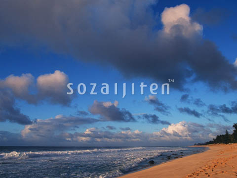 �f�ގ��TVol.140�q�n���C-�A���n�ҁr