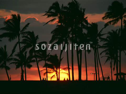�f�ގ��TVol.140�q�n���C-�A���n�ҁr