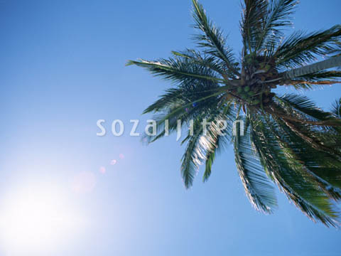 �f�ގ��TVol.140�q�n���C-�A���n�ҁr
